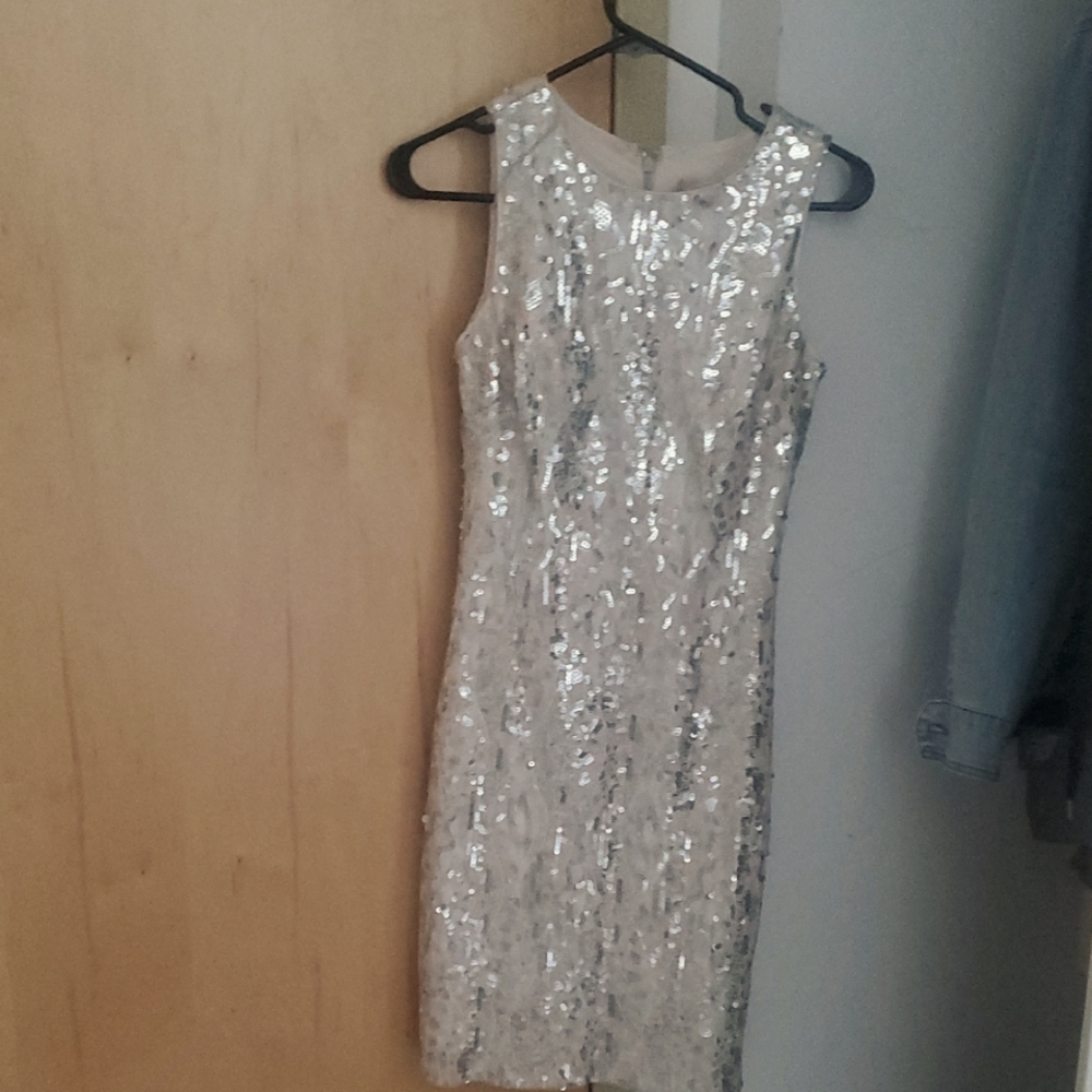 Elegant Silver Sequin Dress Blush Base Melanie Lyne